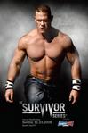 WWE Survivor Series (2008)