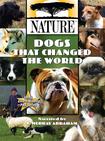 PBS:自然.狗改变世界